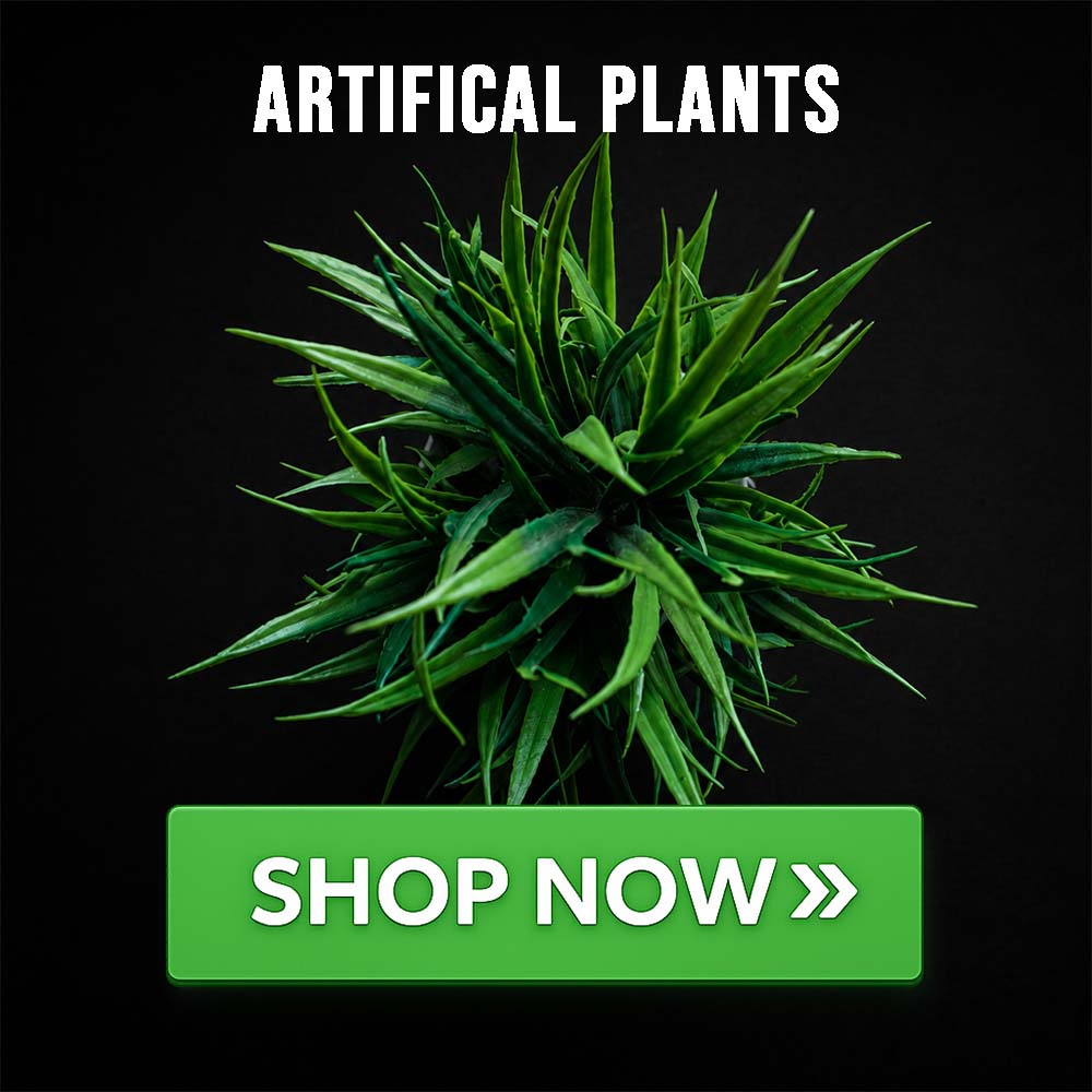fake plants